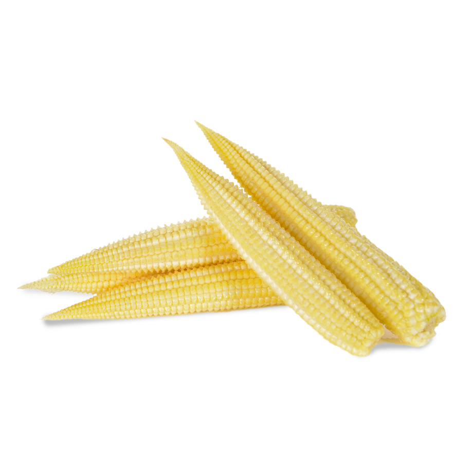 BABY CORN